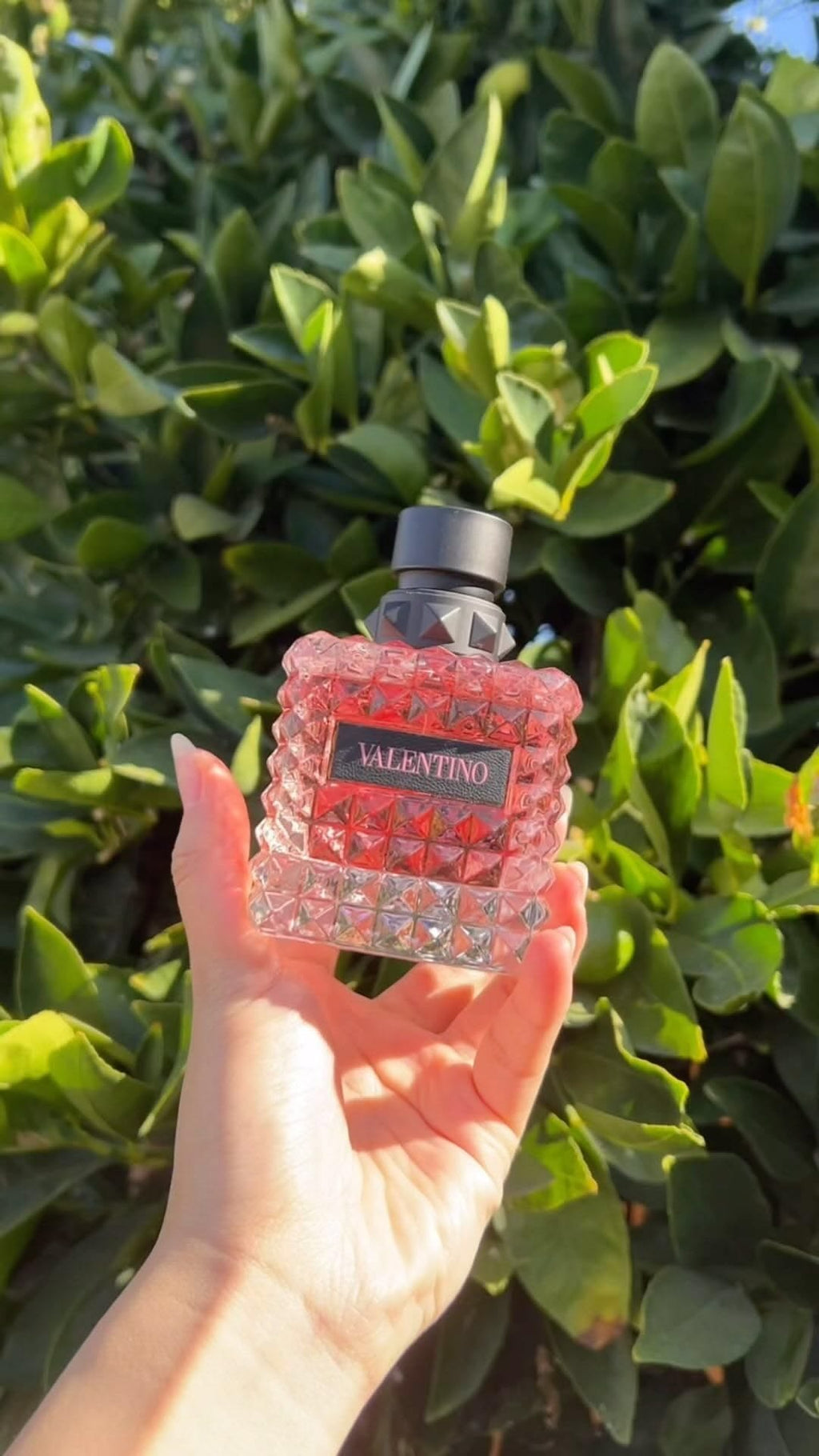 Valentino Donna Born in Roma 100ml