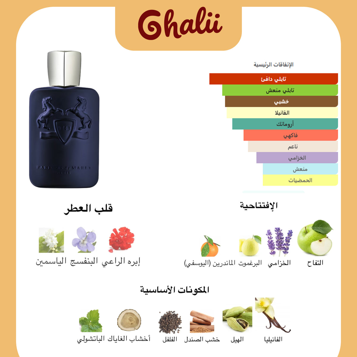 عطور دي مارلي لايتون 125 مل